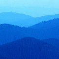 �����  