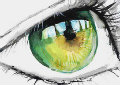 wall117  