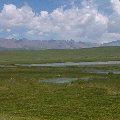 gaoxingyu  