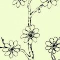 qianbi196  