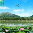 yao_ashuai  