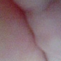 �Ż���ϧ520  