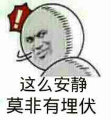 8851879  