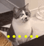 �����  