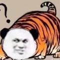 ����  