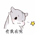 С��.  