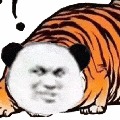 ��ͬѧ��ð�  
