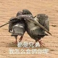 �Ϻ�Ҭ��  