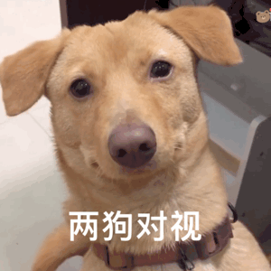 Ϊʲô�Ϸ��Һ�  