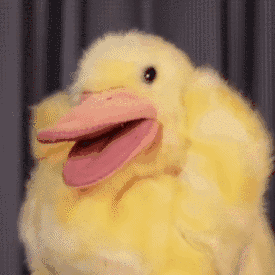 ���Ƴ���Ҷ�³�  