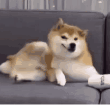 һ�绹��  