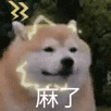 423342373  