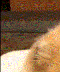 6431  