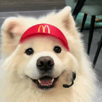 �ߴ�  